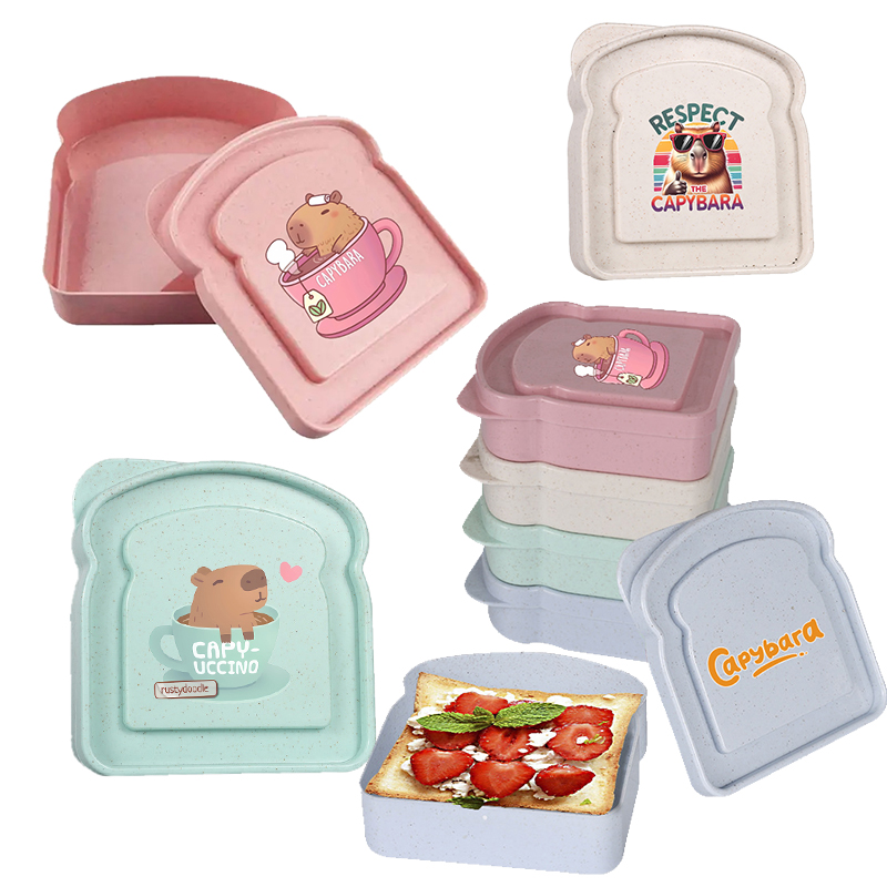 Food Storage Meals - กล่องเก็บอาหารลายคาปิบารา สำหรับใส่แซนวิช สลัด ผลไม้ ขนม กล่องอาหารกลางวันแบบมีฝาปิด